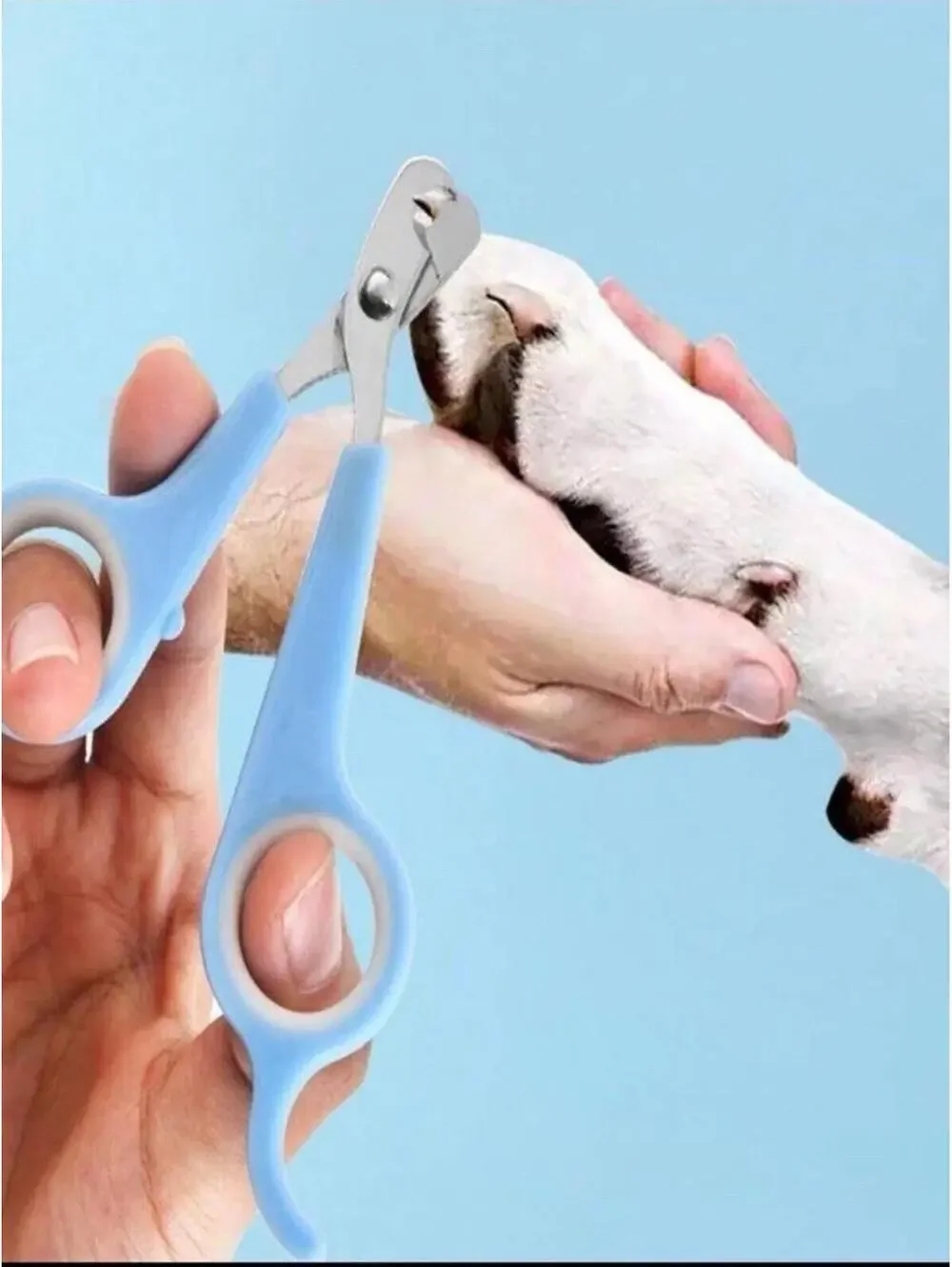 Pet Nail Clippers for Cats Small Dogs Bunnies Hamsters Grooming Trimmer NEW
